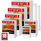 ESRICH Stretched Canvas for Painting,18 Multi Pack Blank Canvases for Painting 12x16, 11x14, 9x12, 8x10, 5x7, 3x5, Cotton Primed Painting Canvas for Oil, Acrylic Paint, for Beginners, Artists.