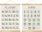 Alphabet and Numbers Wall Chart Set of 2 ,Kids Educational Posters,ABC and 1-20 Number Learning Banners for Toddlers, Preschool Classroom, Homeschool, Nursery, Playroom Decor 14 x 18.5 Inch(Green)