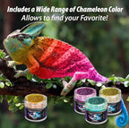 BALTIC DAY - Chameleon Mica Powder, 4 Jars of Color Shift Mica Powder Set - Epoxy Resin Color Pigment Powder - Chameleon Powder - Holographic Mica Powder