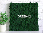 Preserved Reindeer Moss Natural Green DIY Kit Gardenning Art Wall Decor Florist Decor Easter Table Decor Wedding