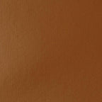 Liquitex BASICS Acrylic Paint, 250ml (8.5-oz) Tube, Raw Sienna