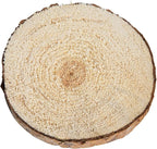 Wood Slices in Mesh Bag for Crafts DIY Projects Rustic Wedding Decorations Ornaments Coasters Tags Home Decor (Natural)