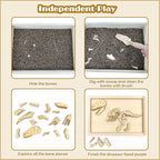 Xylolin Dinosaur Excavation Archaeology Dig Kit for Kids, Fossil Explore Sensory Bin Toys, Dino Skeletons Bones Puzzle Game, Archaeology Science STEM Toys for Boys and Girls (Tyrannosaurus)