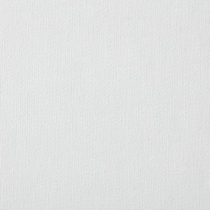 Centurion Deluxe Professional Oil Primed Linen Stretched Canvas, 11oz Linen, 18x24 - Box of 6, 0.67" Deep Canvases, Kiln-Dried Stretchers, Back Stapled, Premium Medium Weight Canvas for Oil Paintings