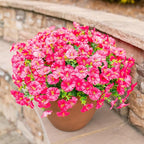 Fake Plants Artificial Flowers for Outdoor Outside Summer Decoration, 12 Bundles Faux Flowers Silk Hot Pink Morning Glory with Eucalyptus Look Real UV Resistant for Planter Front Door Porch Yard Patio