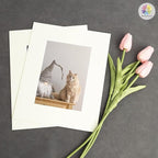 Mat Board Center, Pack of 10, 8x10 for 5x7 Ivory Turret Color Mats - Bevel Cut, Acid Free, 4-ply Thickness, White Core - for Pictures, Photos, Framing