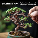 UTILE Bonsai Wire - Armature Aluminum Wire 80 ft 10 Gauge 3.2 mm Bonsai Training Wire, Tree Kit, Plant, Sculpting, Crafts, Bendable, Gardening, Beading and Jewelry Making (Copper, Brown)