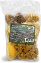 Natural Sea & Synthetic Sponges - Assorted Sizes 7pc Value Pack for Crafts & Artists: Great for Painting, Hobbies, Art, Effects, Ceramics, Clay, Pottery by Lullingworth®