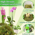 Halatool 2.2LBS Forest Green Moss for Indoor Potted Plants, Orchid Potting Mix, Indoor Potting Plant Moss for Repotting Terrariums Garden Reptiles