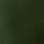 Liquitex BASICS Acrylic Paint, 250ml (8.5-oz) Tube, Hooker’s Green Hue Permanent
