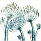 Empire Art Direct Frameless Free Floating Tempered Glass Panel Graphic Wall Art Ready to Hang, 24" x 24", Unfocused Beauty 2