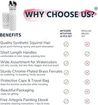 ARTEGRIA Watercolor Brush Set, 10 Professional Soft Synthetic Squirrel Paint Brushes, Including Pointed Rounds, Flats, Dagger, Oval Wash