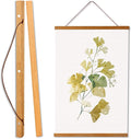 WITCOLOR Poster Hanger Frame, Teak Style 22 inch Wide Magnetic Frame for Wall Decor Art Painting, Magnet Poster Hanger for Photos, Pictures, Prints, Maps, Scrolls and Canvas Artwork