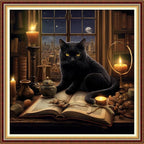 Funchey Stamped Cross Stitch Kits, DIY Cross Stitch Pattern for Adults Beginners Needlepoint Kits Embroidery Kit Arts and Crafts 11CT-Black Cat Book 18x18 inch