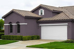 EVOLVE Paint & Primer: Environment-friendly, Low Sheen with One-coat Coverage for Interior & Exterior surfaces (Gentle Plum, 5-Gallon)