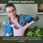 3-1-2 African Violet Fertilizer for Indoor Plants: Liquid Fertilizer with Essential Micronutrients Drops - Plant Food for African Violets (8 oz)