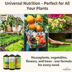 10-10-10 All Purpose Plant Food - Liquid Fertilizer with Seaweed Kelp & Iron - Indoor & Outdoor Plant Food, Vegetables, Flowers, Lawn & Garden 1x16 oz