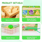 Magnetic Color & Shape Maze, Toddler Montessori Toys for 3 4 5 Year Old Girl Boy Birthday Gift, Magnetic Puzzles Board for Kids, Wooden Magnets Color Shape Sorting Toys, Preschool Learning Activities