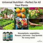 Organic Liquid Plant Food for Indoor Houseplants – All Purpose Fertilizer for Potted Plants, Vegetables, Succulents, Orchids, Roses – Miracle Growth with Mycorrhizae (32 oz)