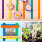 60 Pieces Jumbo Craft Sticks, 8 Inch Natural Wooden Popsicle Sticks, Multi-Functional Ice Cream Sticks for Crafts, Tongue Depressors, Hair Removal and Waxing Sticks, Plant Labels, DIY Classroom Crafts