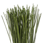 CCINEE 26 Gauge Dark Green Floral Wire Stem for Flower Arrangement Craft Supply,16 Inch,200PCS