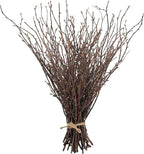 Uieke 50PCS Birch Twigs – 17 Inch Natural Dried Plants Decorative Birch Branches for DIY Crafts, Birch Sticks for Vases Wedding Arrangements Home Wreath Decor