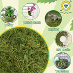 Halatool 2.2LBS Forest Green Moss for Indoor Potted Plants, Orchid Potting Mix, Indoor Potting Plant Moss for Repotting Terrariums Garden Reptiles