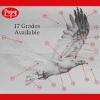 Pepy Graphite Professional Drawing Pencils - Set of 12 9B Pre-Sharpened Black Lead Pencils; Perfect for Drawing, Sketching and Shading, Graphic and Fine Art