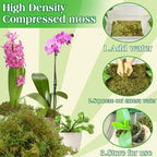 Halatool 9OZ Green Moss for Potted Plants, 12QT Orchid Moss Potting Mix, Forest Moss for Indoor Plants, Indoor Potting Plant Moss for Repotting Terrariums Garden Reptiles