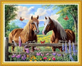 Hopeart Stamped Cross Stitch Kits for Beginner Embroidery Kits for Beginners Adults DIY 11CT Cross Stitch Patterns Needlepoint Kits Crossstitching Kits-Couple Horse 16x20 inch