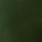 Liquitex BASICS Acrylic Paint, 118ml (4-oz) Tube, Hooker’s Green Hue Permanent