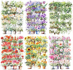 150Pcs Potted Plant Stickers, Botanical PET Stickers for Scrapbooking, DIY Crafts, Journaling, and Junk Journal Ephemera with Organizer