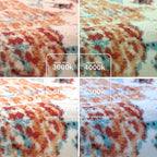 Lahome Bohemian Floral Medallion Area Rug - 4x6 Oriental Distressed Bedroom Rug Country Vintage Faux Wool Indoor Throw Mat Non-Slip Washable Low-Pile Carpet for Bathroom Living Kitchen Laundry Room