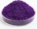 GOODTAKE Purple Iron Oxide, Concrete Pigments for Artistic and Decorative Painting, Cement Dye for Concrete, Clay, Lime, Tile, Mortar, Grout, Plaster, Masonry, Paint (Purple, 16 oz)
