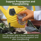 3-1-2 African Violet Fertilizer for Indoor Plants: Liquid Fertilizer with Essential Micronutrients Drops - Plant Food for African Violets (8 oz)