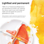 Winsor & Newton Professional Water Colour Paint, Half Pan, Winsor Blue Green Shade