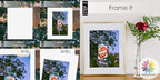 Mat Board Center, Pack of 25, 8x10 for 5x7 Black Picture Mat Sets - Acid Free, 4-ply Thickness, Bevel Pre-Cut White Core - Includes Backing Boards and Clear Bags - for Pictures, Photos, Framing