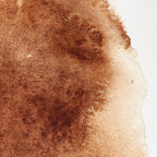Winsor & Newton Professional Watercolor, 14ml (0.47-oz) Tube, Burnt Umber