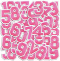 Number Iron On Patches, Numbers 0-9 Embroidery Applique Patch, DIY Decorative Heat Press Patches for Clothing Jeans Jackets Backpacks Hats (Pink 50 Pcs)