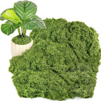Fake Green Moss for Potted Plants, 10.6OZ Moss Decor Artificial Faux Moss for Crafts Preserved Moss for DIY Decorative Moss Table Centerpieces Decor Fairy Garden Floral Wedding (300g) (Dark Green)