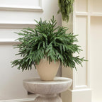 12 Pcs Artificial Norfolk Pine Branches - 18" Realistic Faux Christmas Greenery Stems Fake Evergreen Cedar Picks Winter Greens for Vase DIY Crafts Garland Wreath Indoor Outdoor Holiday Decor