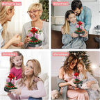Flower Bouquet Building Kit, 524 Pcs Mini Bricks Building Blocks Sets, Forever Rose Decorated Flower with Dust Cover, Valentine's Day Gifts for Her Mom Women (Rose Flower)
