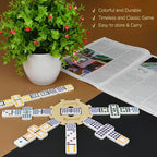 Queensell Mexican Train Dominoes - 136 Colored Dot Double 15s, 9 Trains, Wooden Hub, Aluminum Case