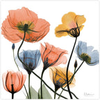 Empire Art Direct Frameless Free Floating Tempered Glass Panel Graphic Wall Art Ready to Hang, 24" x 24", Flowers and Ferns, Orange and Blue Flower