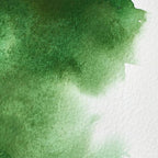 Winsor & Newton Professional Water Colour Paint, 0.47-oz Tube, Hooker's Green