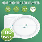 100% Compostable Oval Paper Plates 12 inch Bulk 100 Count, Heavy Duty Large Disposable Plates, Eco-Renewable Sugarcane Pulp Plates for Party,Dinner& Daily Use, White